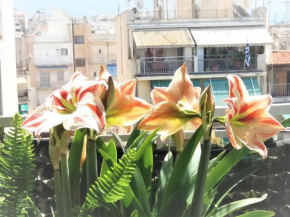 Sunny Studio Penthouse in center of Athens